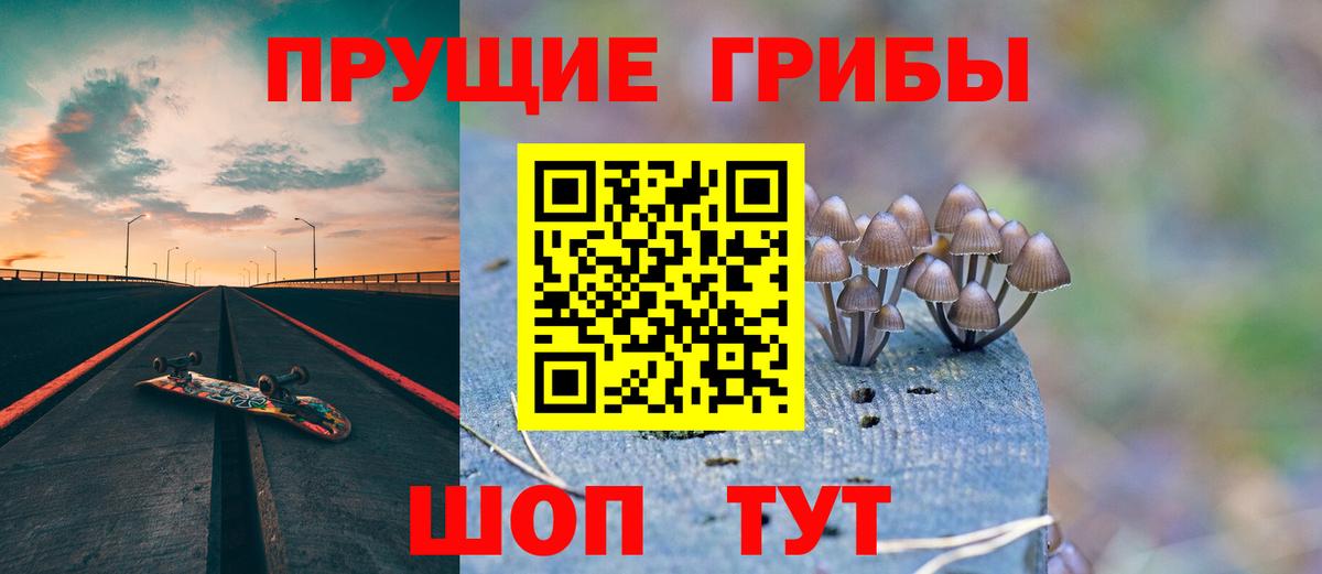 Псилоцибиновые грибы мицелий  Галлюциногенные грибы GOLDEN TEACHER  Вход с VPN  Ангарск 